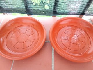 Platos macetas y riego