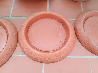 Platos macetas y riego