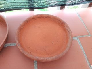 Platos macetas y riego