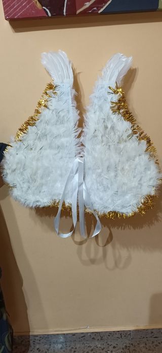 Alas de ángel 