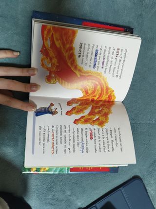 Reconquista del Reino de la Fantasía. Décimo vi...