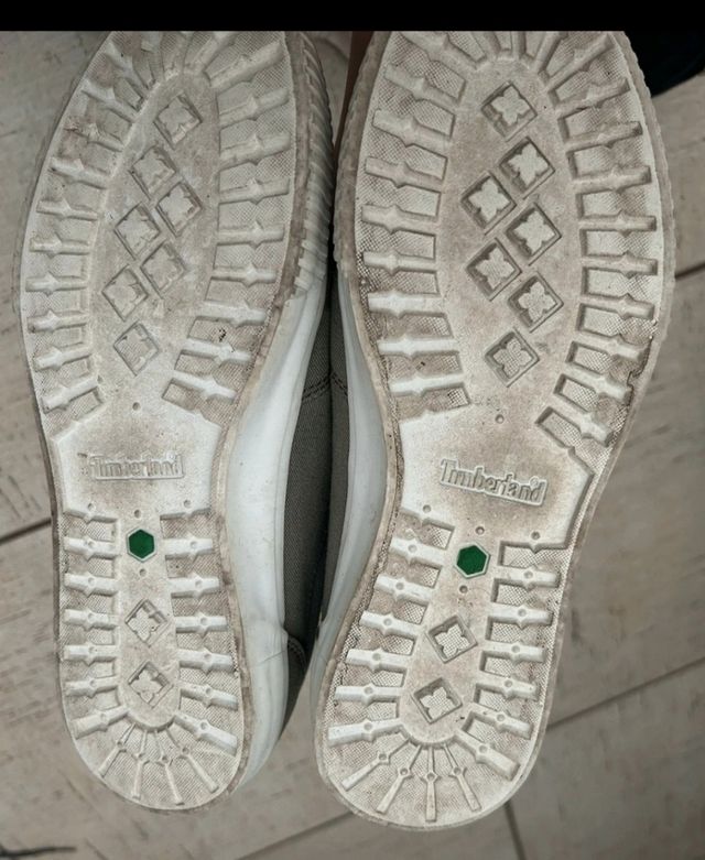 Timberland Scarpe Uomo, da passeggio,Verde Salvia