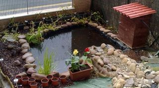 Bidones d1000l.con grifo y palets metálicos.