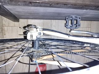 Bici rígida 29. Talla M.