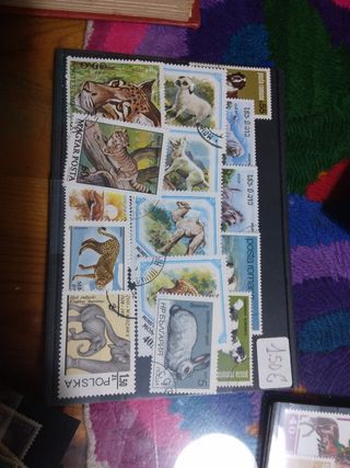 15 sellos animales