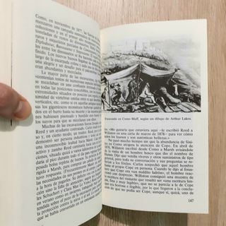 Libro EL ENIGMA DE LOS DINOSAURIOS