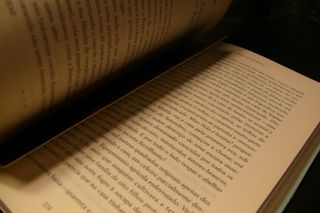 Raposas de Fogo (Portuguese Edition)