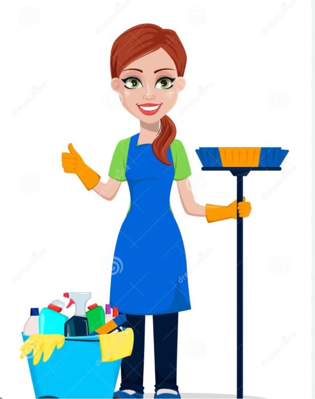 Limpieza hogar: Profesional seria