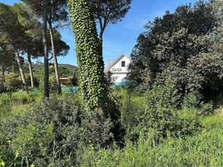 Solar en venta en Valldoreix en Sant Cugat del Vallès