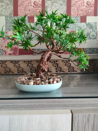 Bonsai Artificial
