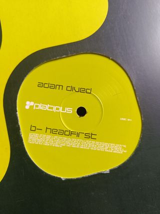 Adam Dived ‎– Into Sea / Headfirst