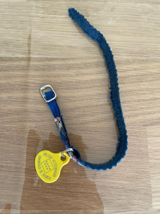 Colar para cão ou gato pequeno