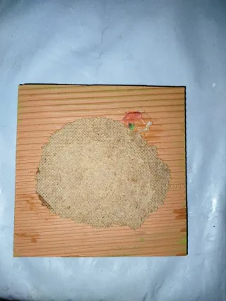 Ladrillo con escudo de Lérida