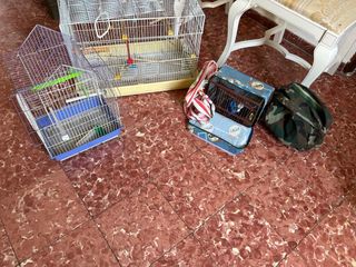 Jaulas pajaro