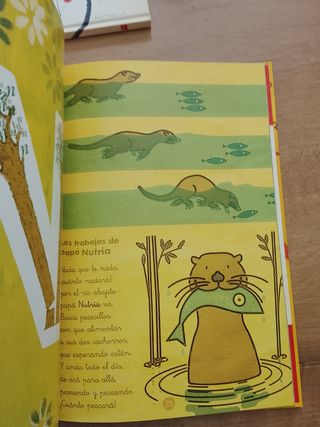 Abezoo (Spanish Edition)