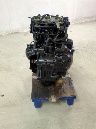 Motor Triumph 1050