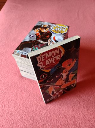 Demon slayer. Kimetsu no yaiba