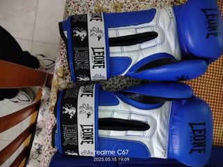 Guantoni e paratibbie