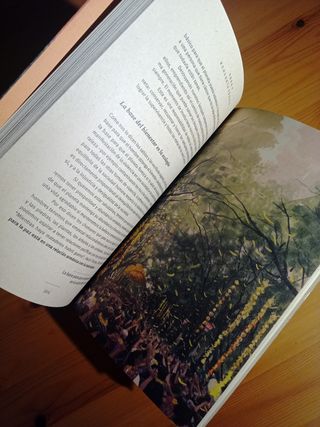 Yoga y Ecología Védica ¿Qué puedo hacer yo...?