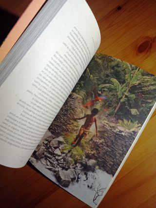 Yoga y Ecología Védica ¿Qué puedo hacer yo...?