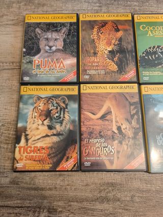 7 DVDs National Geographic