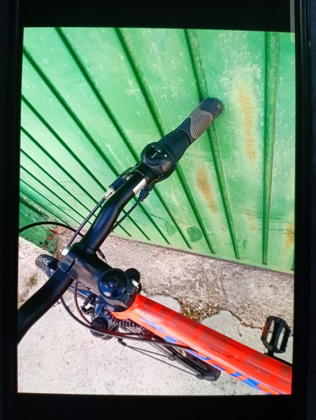 Bicicleta FALTER de montaña