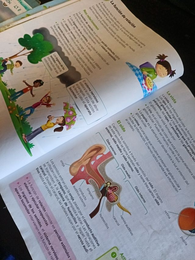 Ciencias de la naturaleza. 4 Primaria. Savia. C...