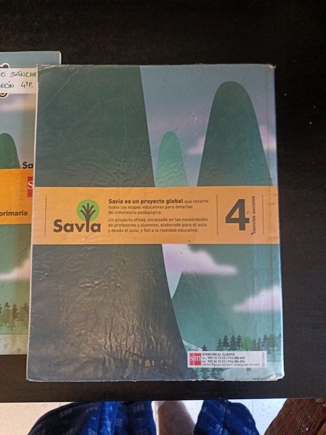 Ciencias sociales castilla la mancha 4 primaria