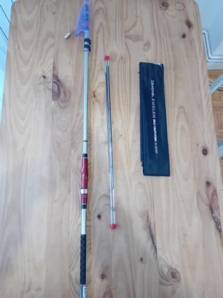Caña daiwa emblen compettition