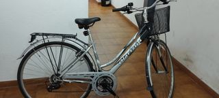 Bici de paseo adulto