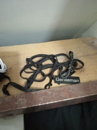 Pettorina Gatto con guinzaglio