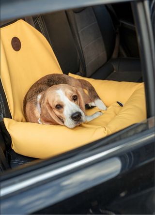 Cama para perro para el coche  ideal para viajes