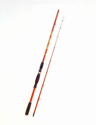 CAÑA EGING, FONDEO, PESCA CALAMAR, TXIPIRON, EGI