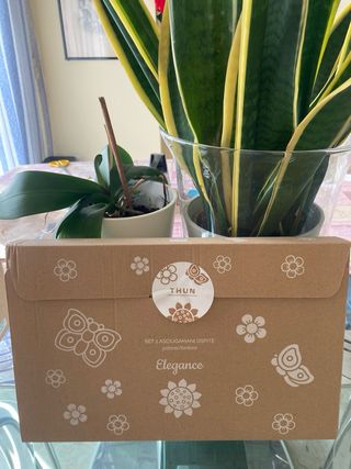 4 scatole vuote Thun