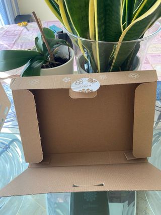 4 scatole vuote Thun