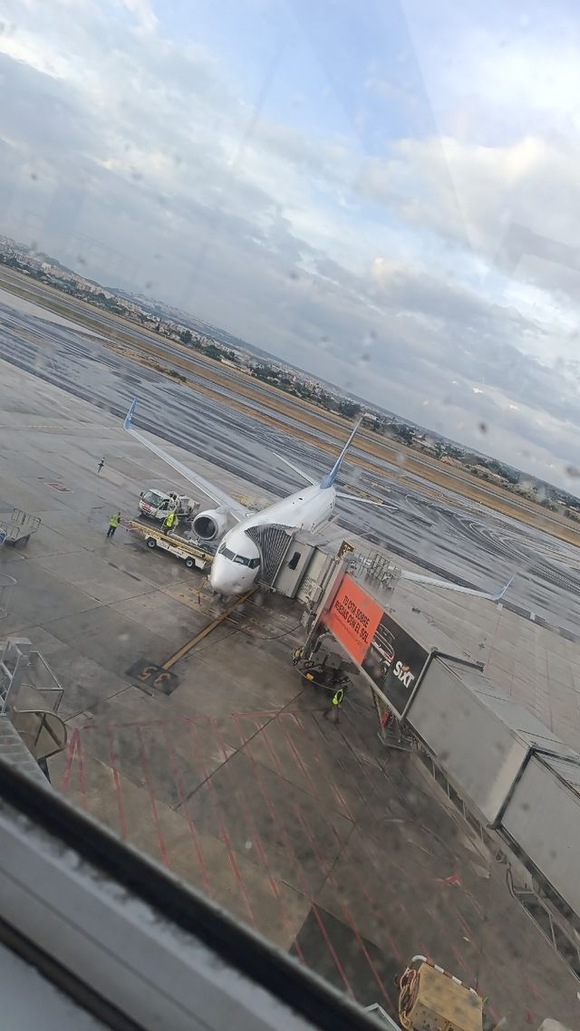 Te traigo tu coche de Alemania por ti