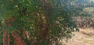 Solar en venta en Berga