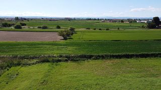 Solar en venta en Mollerussa