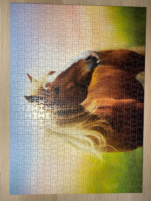 Puzzle a cavallo Educa da 500 pezzi