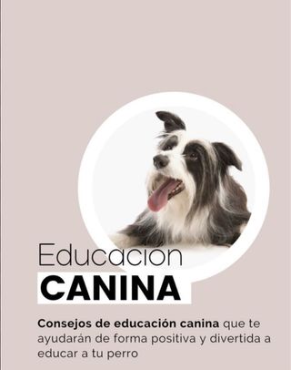 Curso online educación canina