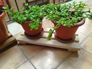 N. 3 portapiante in legno da giardino