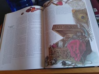 Magos y brujas