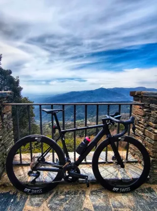 Canyon Ultimate CF SLX 8