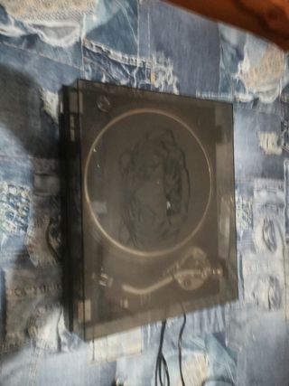 Plato de discos de vinilo