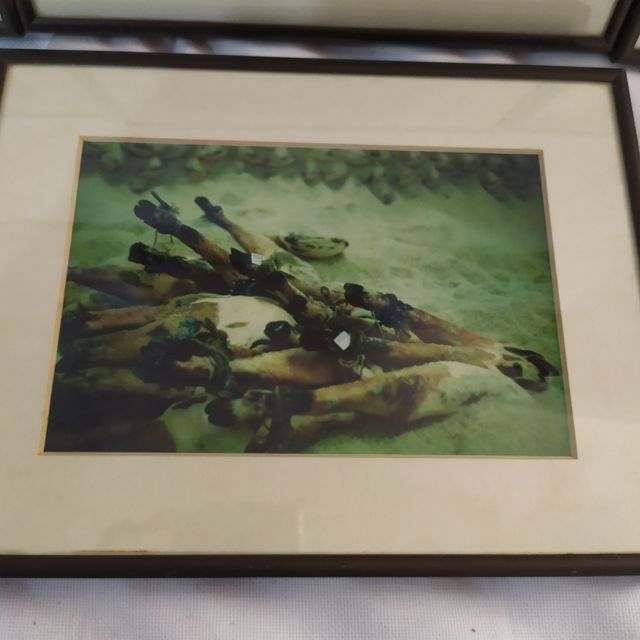 Secadores de jamones