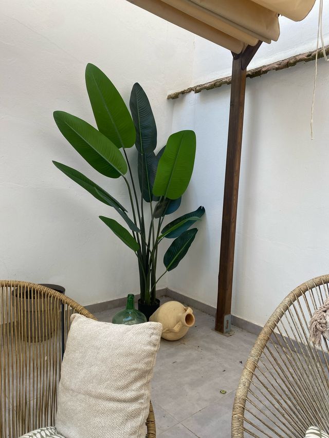 Planta artificial|Bananero