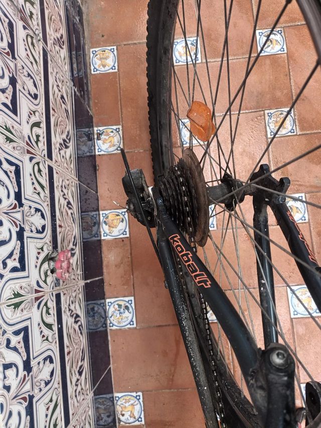 Bicicletta