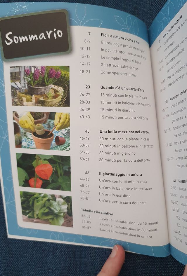 Giardinaggio in 15 minuti. Piante sane e belle in