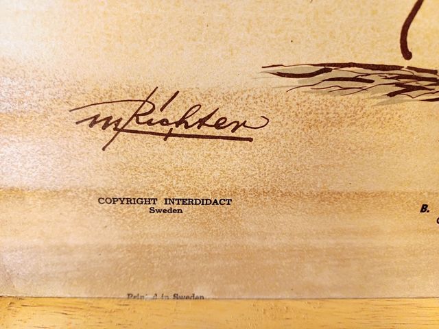 Mural escolar vintage sueco - Hongos