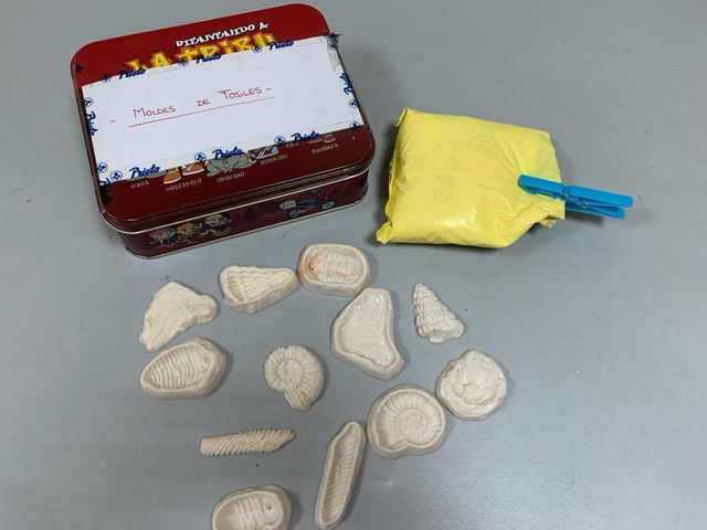 Moldes fósiles para manualidades